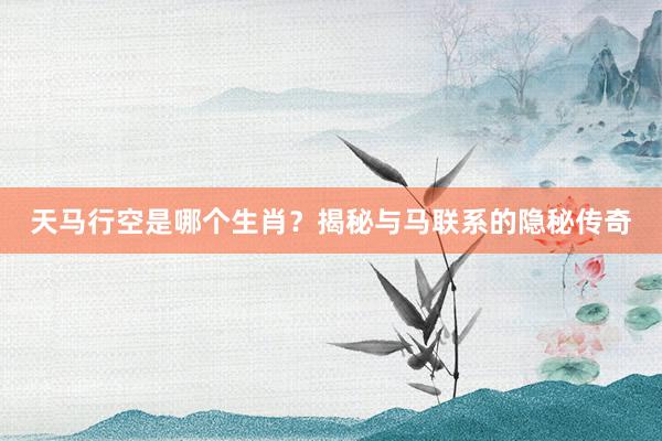 天马行空是哪个生肖？揭秘与马联系的隐秘传奇