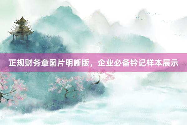 正规财务章图片明晰版，企业必备钤记样本展示